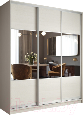 Шкаф-купе Евва 203 ВS.01 / АЭП ШК.3 02 - фото