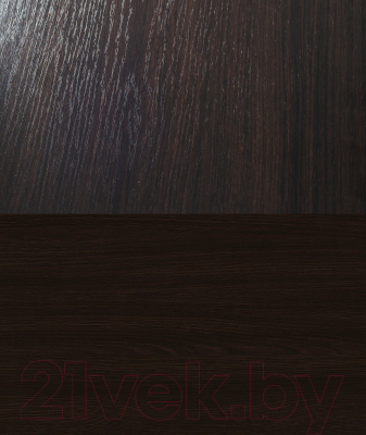 Шкаф-купе Евва 233 VS.01 / АЭП ШК.3 01