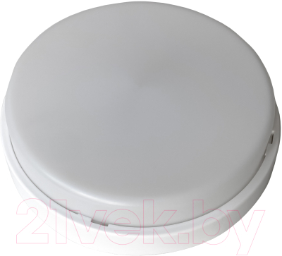 Светильник ЖКХ Элект ДБО 07-15-002 УХЛ1 6500 К