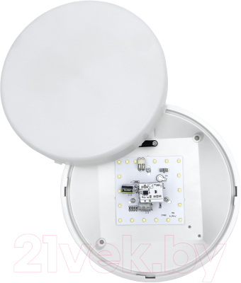 Светильник ЖКХ Элект ДБО 07-15-002 УХЛ1 6500 К