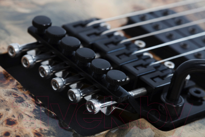 Электрогитара Schecter C-6 Pro Fr CB