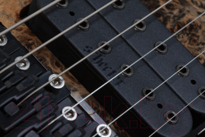 Электрогитара Schecter C-6 Pro Fr CB