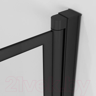 Стеклянная шторка для ванны Niagara NG-08-10 100x40