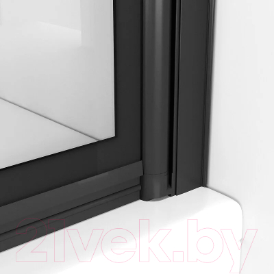 Стеклянная шторка для ванны Niagara NG-08-10 100x40