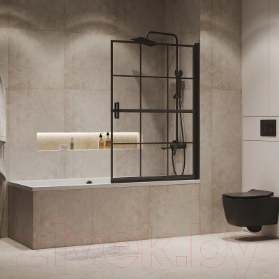 Стеклянная шторка для ванны Niagara NG-08-10 100x40