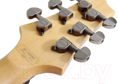 Электрогитара Schecter SGR 006 MSBK