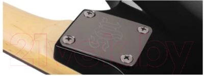 Электрогитара Schecter SGR C-1 FR BLK
