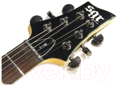 Электрогитара Schecter SGR C-1 FR BLK