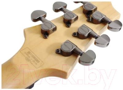 Электрогитара Schecter SGR C-1 FR BLK