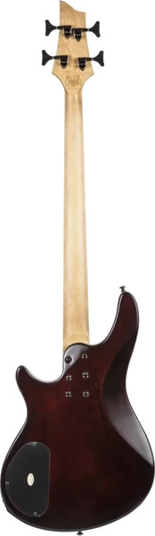 Бас-гитара Schecter SGR C-4 Bass WSN