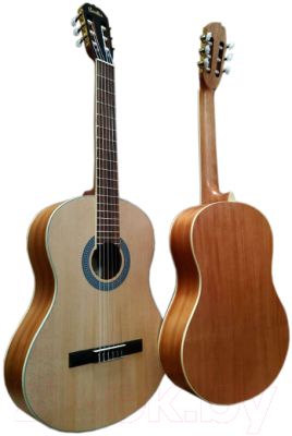 Акустическая гитара Sevillia IC-120H NA