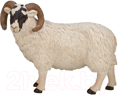 Фигурка коллекционная Konik Шотландский черноголовый баран / AMF1030 - фото