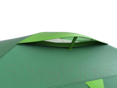 Палатка Husky Bizon Plus 4P (зеленый)