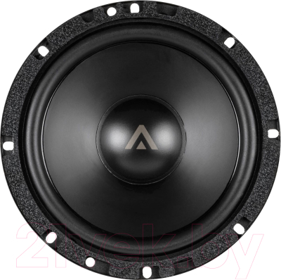 Среднечастотная АС ASPECT WLS-6MW - фото