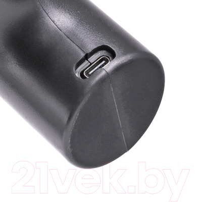 Опрыскиватель аккумуляторный PATRIOT PT-2Li