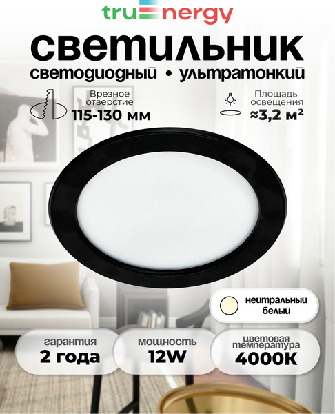 Точечный светильник Truenergy 12W 4000K IP20 /10039