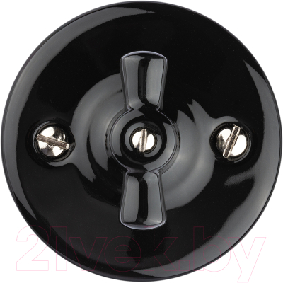 Выключатель TDM Болонь SQ1820-0210 - фото