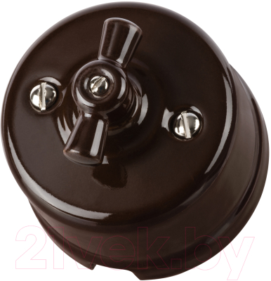 Выключатель TDM Болонь SQ1820-0417