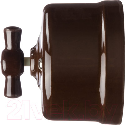 Выключатель TDM Болонь SQ1820-0417