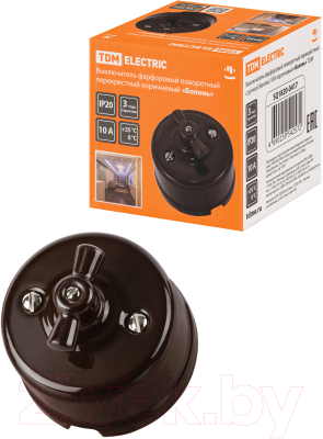 Выключатель TDM Болонь SQ1820-0417