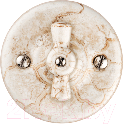 Выключатель TDM Болонь SQ1820-0114 - фото