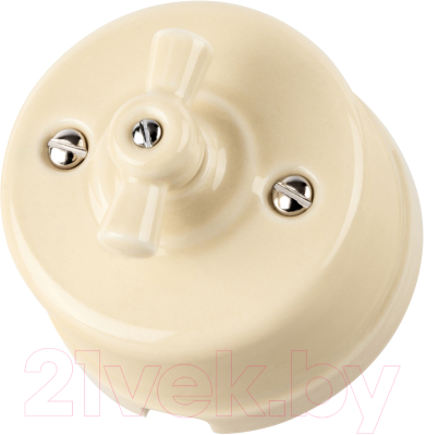 Выключатель TDM Болонь SQ1820-0317