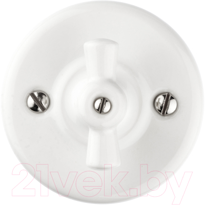 Выключатель TDM Болонь SQ1820-0011 - фото