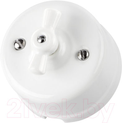 Выключатель TDM Болонь SQ1820-0011