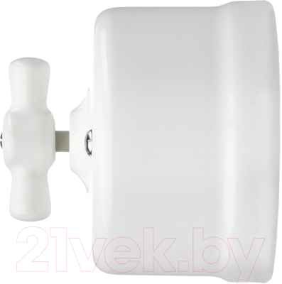 Выключатель TDM Болонь SQ1820-0011