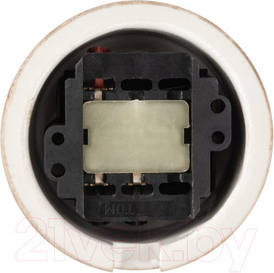 Выключатель TDM Болонь SQ1820-0111