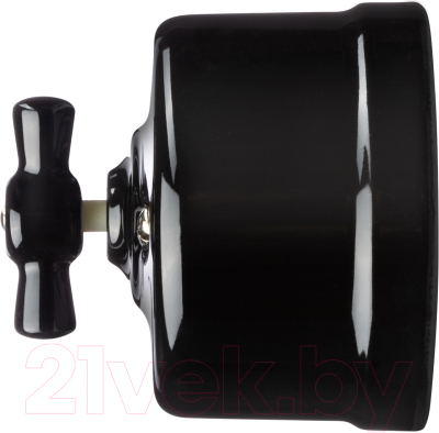 Выключатель TDM Болонь SQ1820-0211