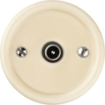 Розетка TDM Болонь SQ1820-0353