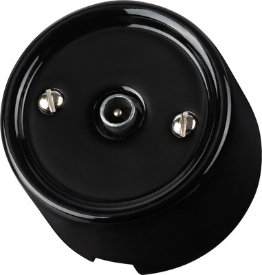 Розетка TDM Болонь SQ1820-0253 - фото