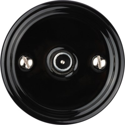 Розетка TDM Болонь SQ1820-0253