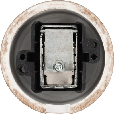 Розетка TDM Болонь SQ1820-0154