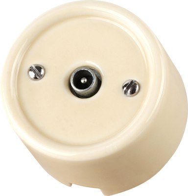 Розетка TDM Болонь SQ1820-0354 - фото