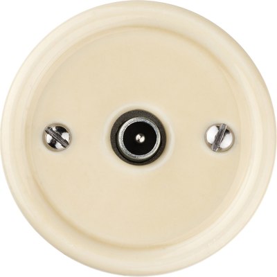 Розетка TDM Болонь SQ1820-0354