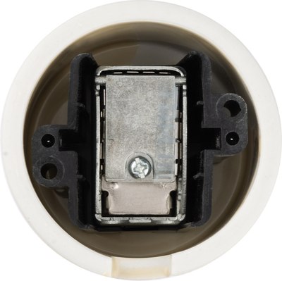 Розетка TDM Болонь SQ1820-0354