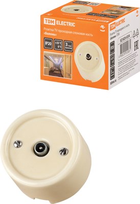 Розетка TDM Болонь SQ1820-0354