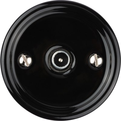 Розетка TDM Болонь SQ1820-0254