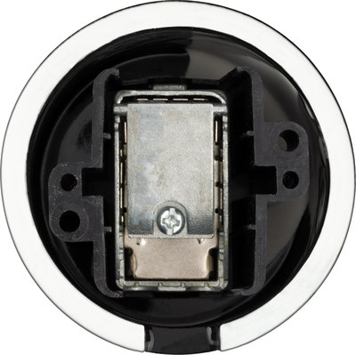 Розетка TDM Болонь SQ1820-0254