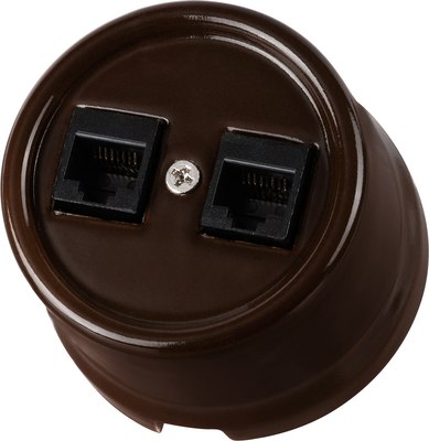 Розетка TDM Болонь SQ1820-0451 - фото