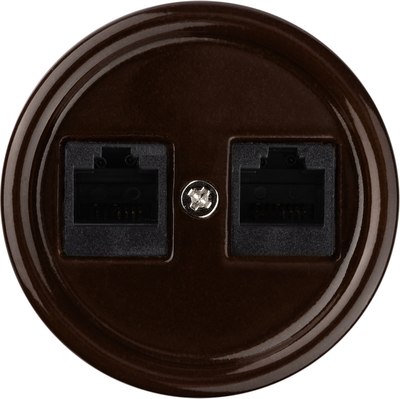 Розетка TDM Болонь SQ1820-0451