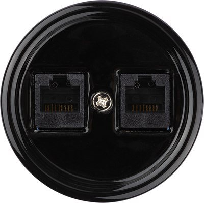 Розетка TDM Болонь SQ1820-0251