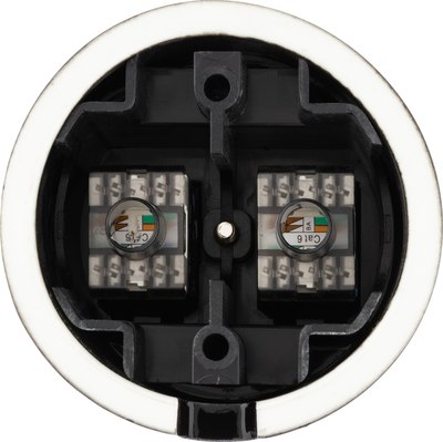 Розетка TDM Болонь SQ1820-0251