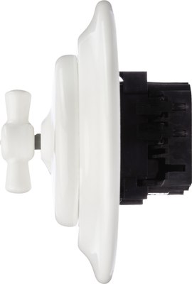 Выключатель TDM Болонь SQ1820-0014