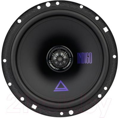 Коаксиальная АС AURA Indigo CL6X
