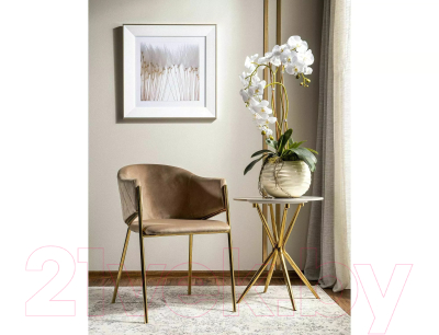 Стул Signal Bono