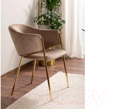 Стул Signal Bono