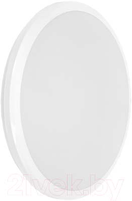 Светильник ЖКХ IEK LDPB0-3009-40-4000-K01 - фото